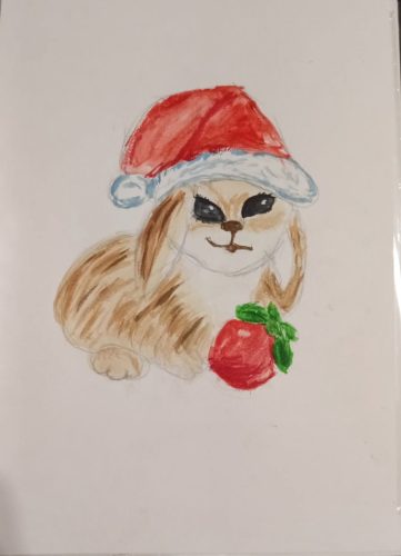 Удиви Деда Мороза