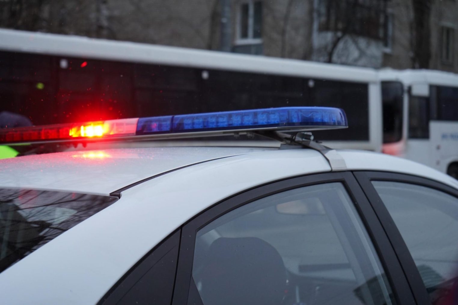 Ради любимой костромич подставился под арест