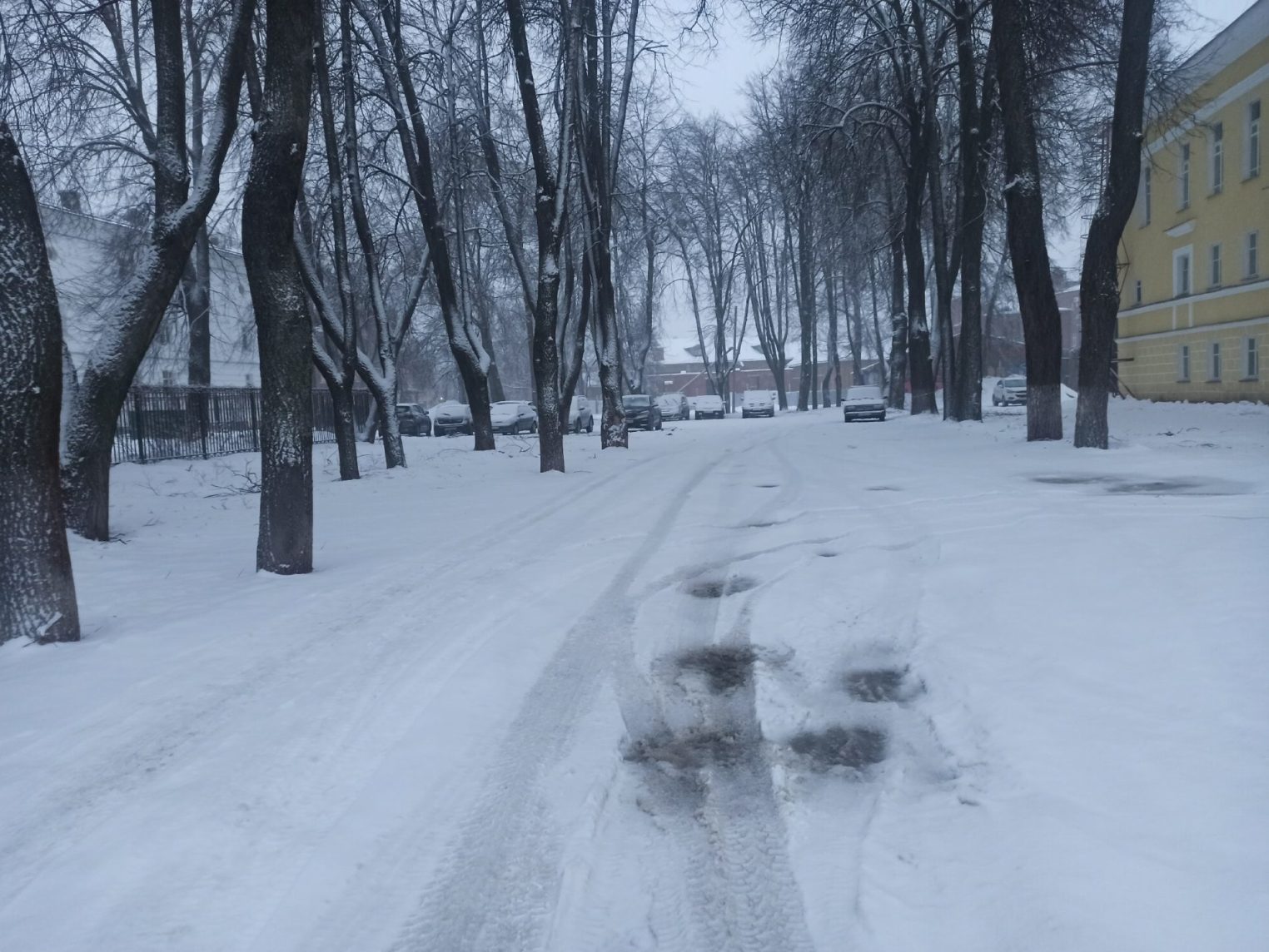 Синоптики раскрыли, будет ли еще зима в Костроме