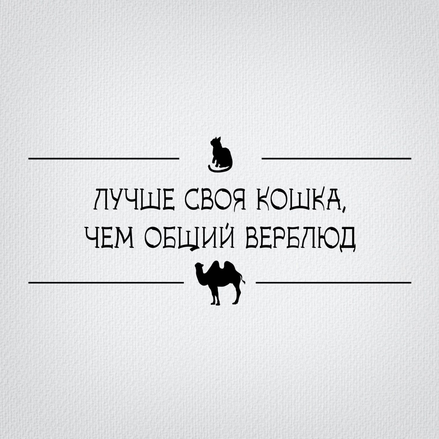 Известный московский художник Петр Скляр замечен гуляющим по Костроме