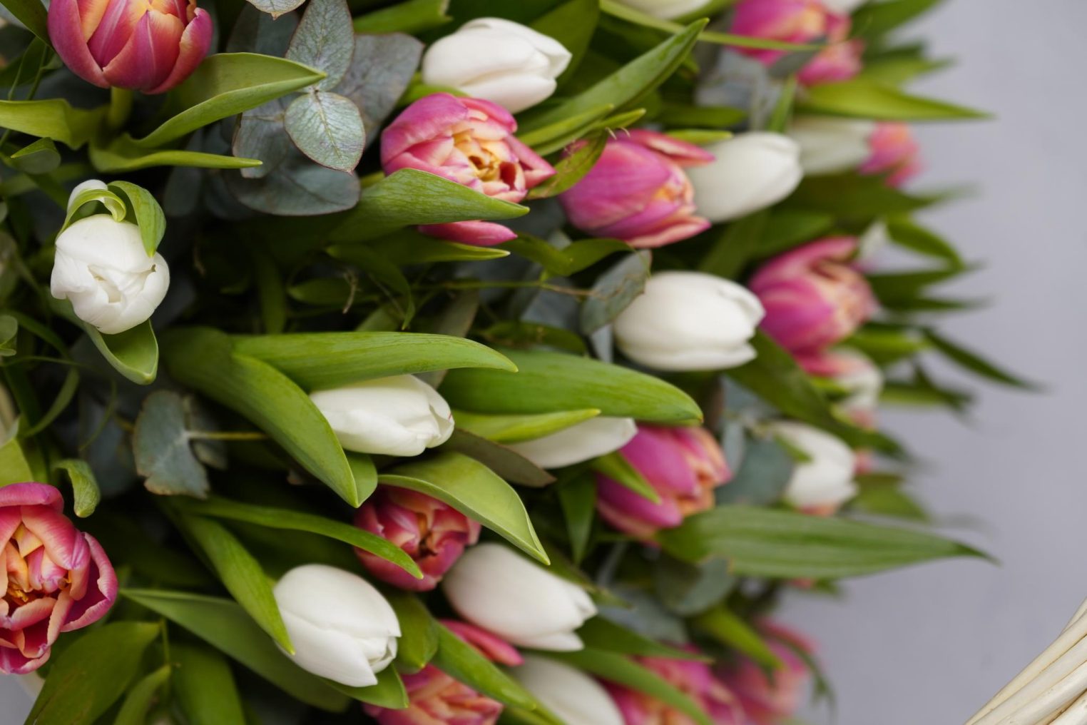 Цветочная ярмарка открылась в Костроме в преддверии 8 Марта