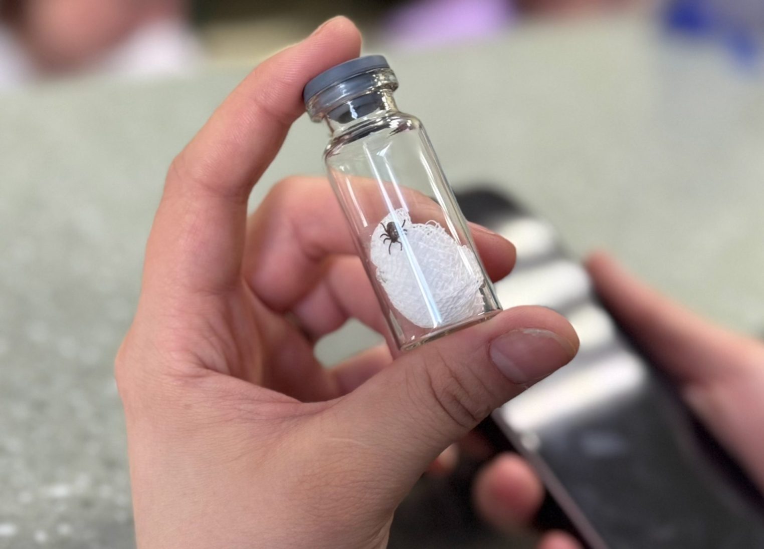 Маленькие существа покусали более 3 тысяч костромичей