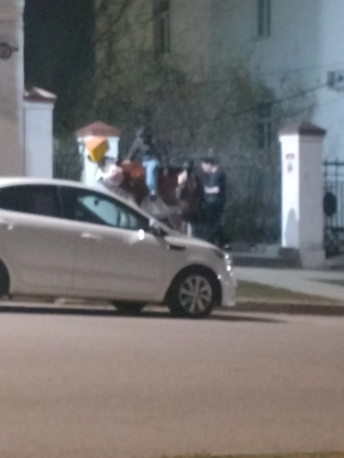 Неизвестные оседлали ночью знаменитую костромскую корову