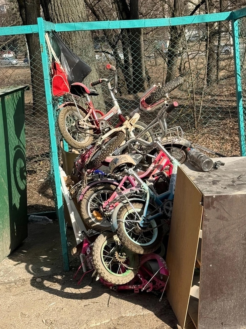 Кладбище велосипедов нашли на костромской помойке