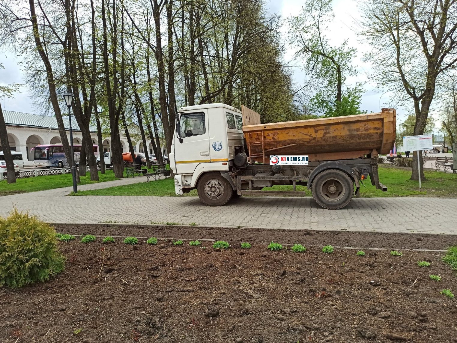 На клумбах в центре Костромы начали высаживать цветы