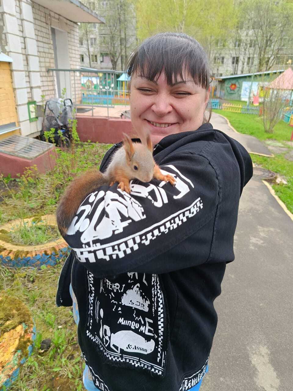 Белки все чаще стали являться костромичам в неожиданных местах