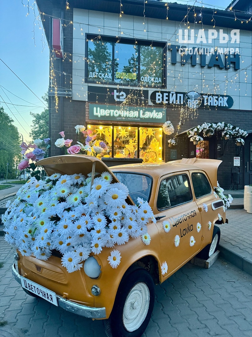 Ромашки в Шарье распустились прямо в капоте авто