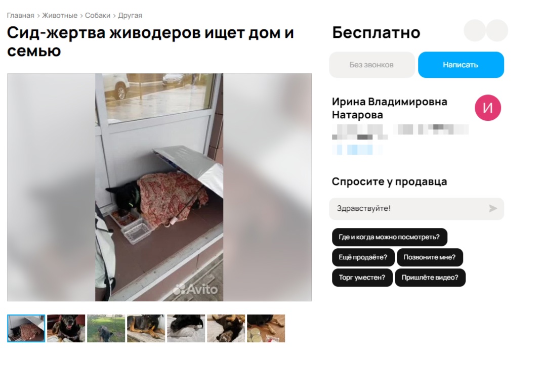 Жертва живодеров все еще верит людям в Костроме