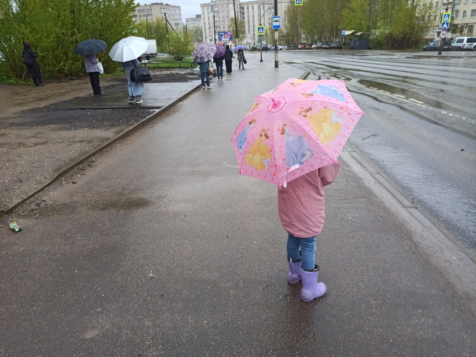 Тишковец предупредил костромичей о рекордных ливнях