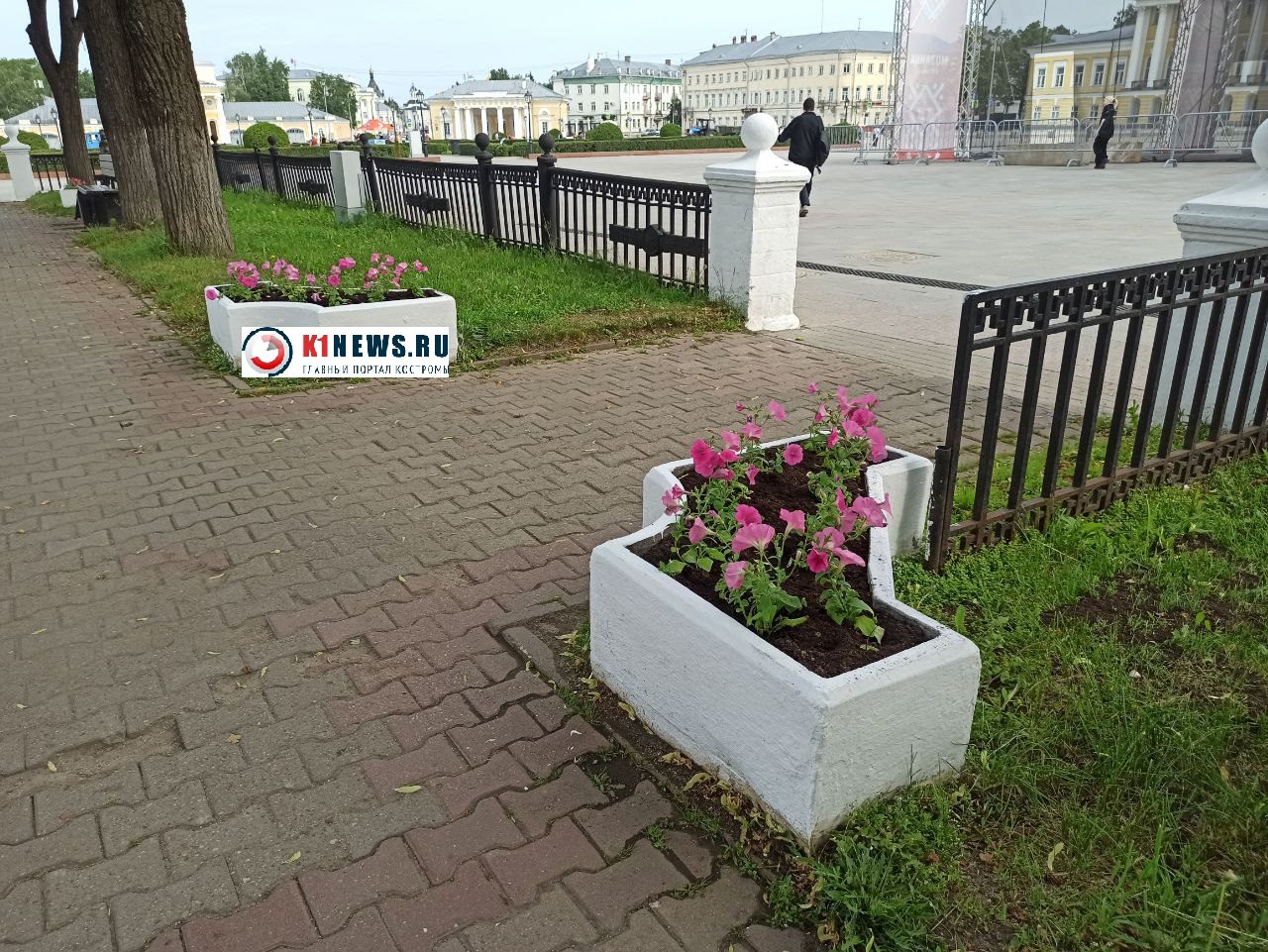 На Сусанинской площади Костромы "зацвели" каменные кубы