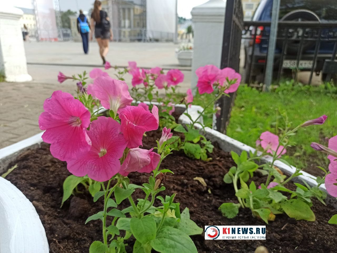На Сусанинской площади Костромы "зацвели" каменные кубы