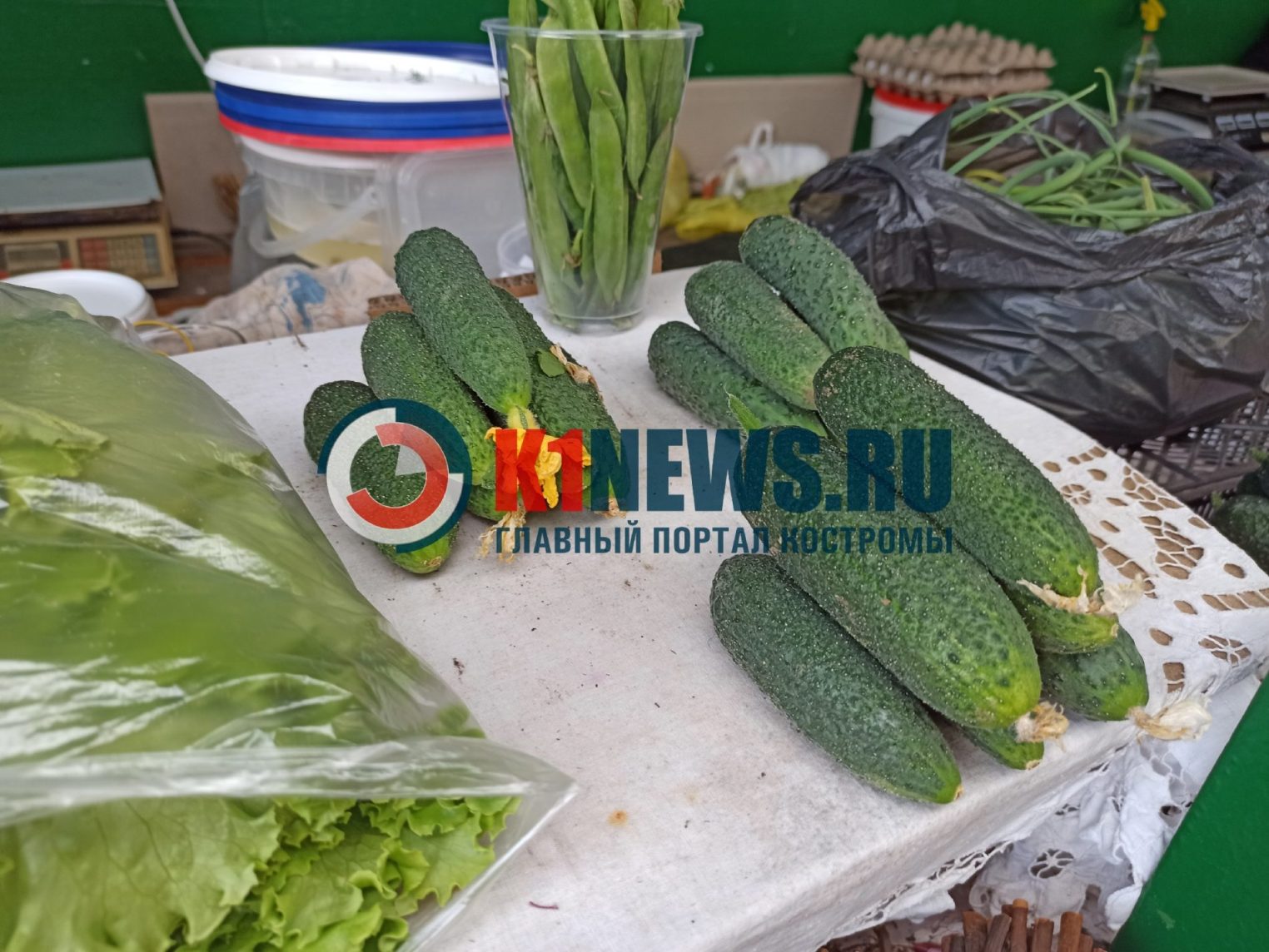 Костромские огурчики совсем опупырили