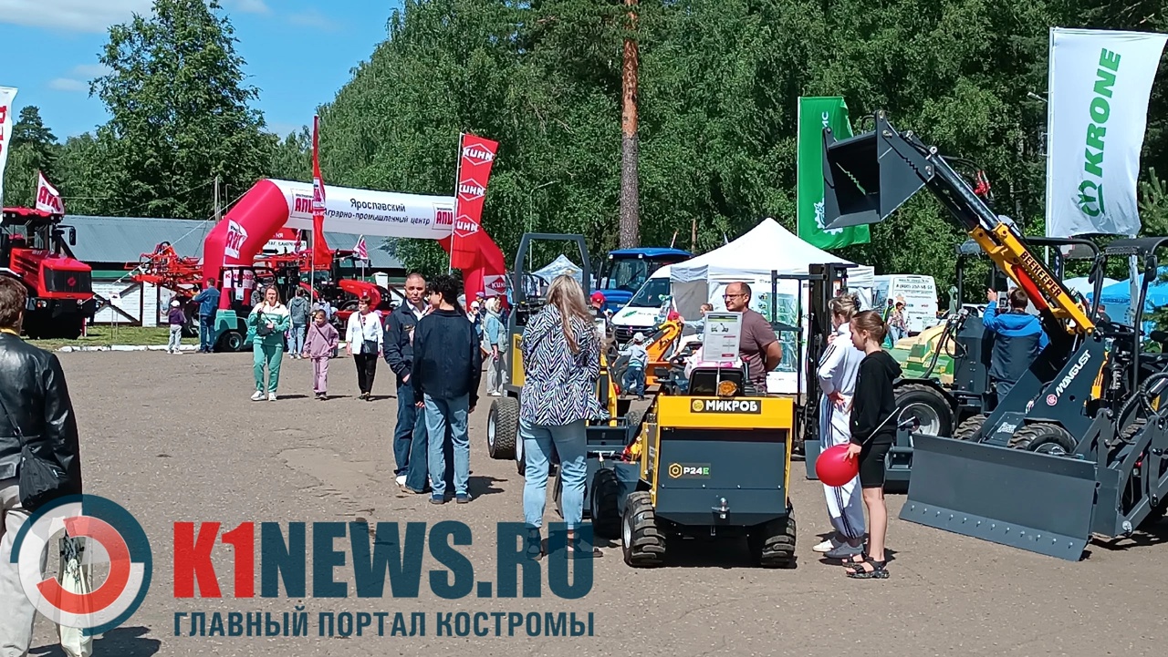 Отшумел День костромского села: как это было