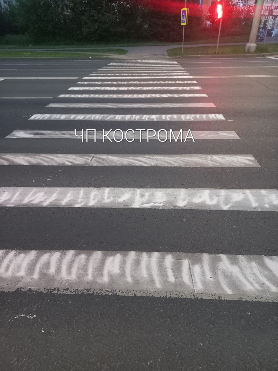На Магистральной в Костроме появилась креативная зебра