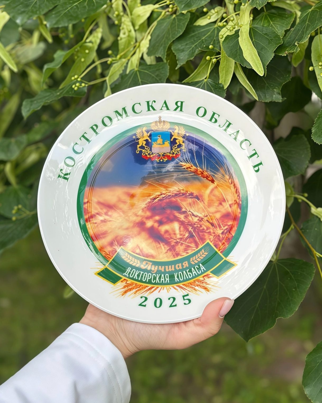 На празднике «День костромского села» выбрали лучшую «Докторскую»