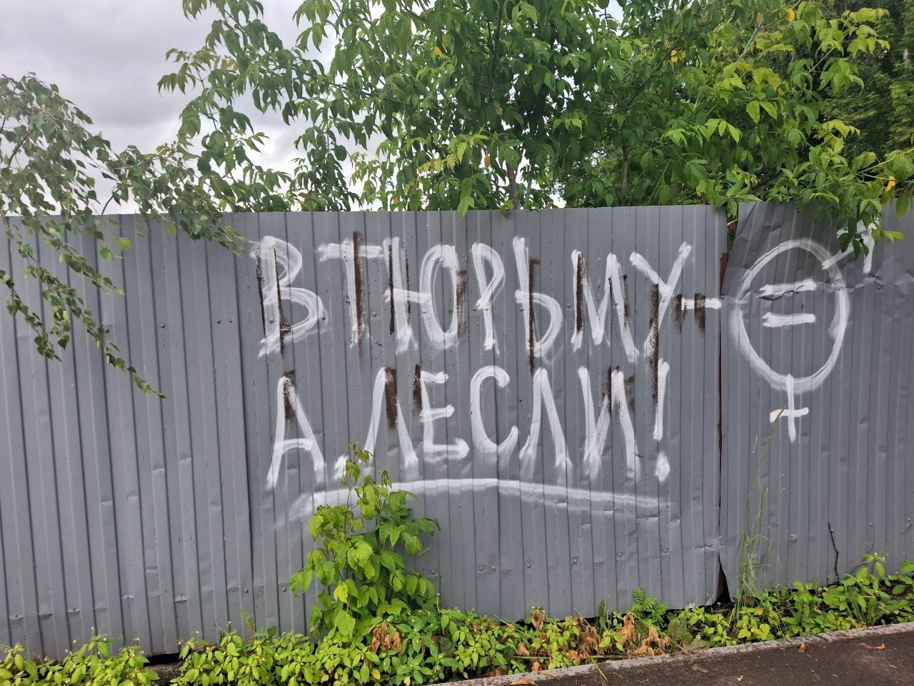 На позорный забор костромичи вывесили развратного коуча Алекса Лесли