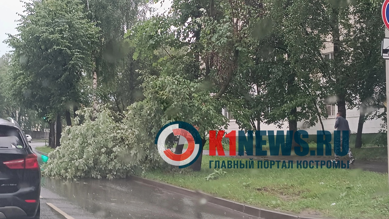 Стихия разбушевалась в Костроме: светофор и остановка сбежали с постов