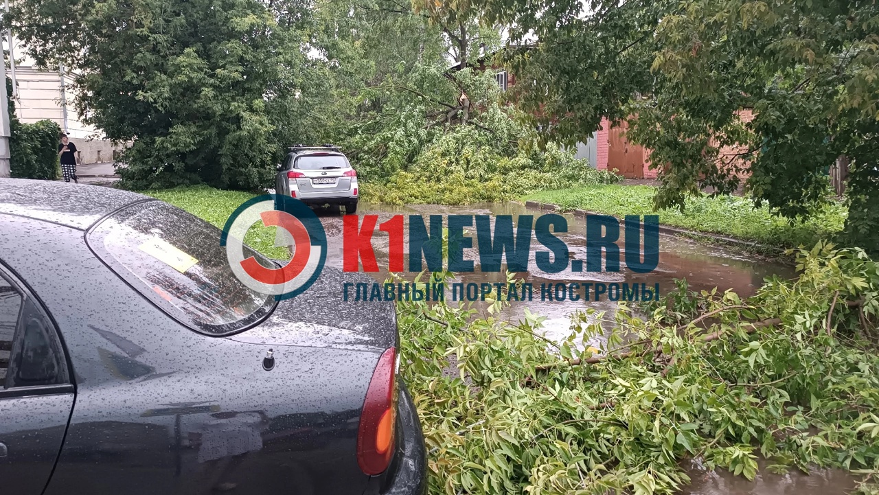 Стихия разбушевалась в Костроме: светофор и остановка сбежали с постов