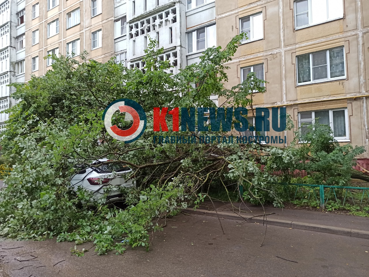 В Костроме ураган вырывал с корнями деревья и громил машины