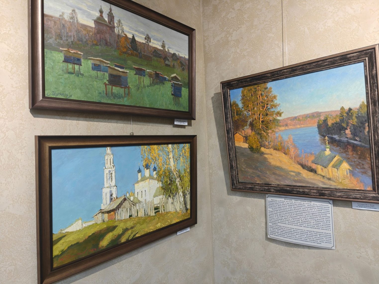Пейзажи родного края показывают в новой галерее Костромской области
