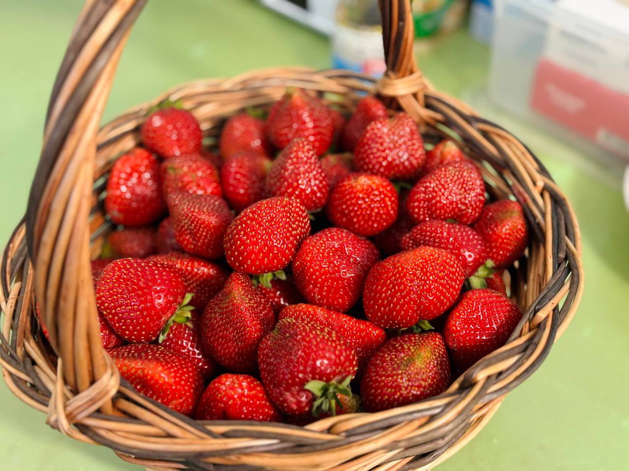 Сергей Ситников принес бойцам СВО в госпиталь корзину клубники