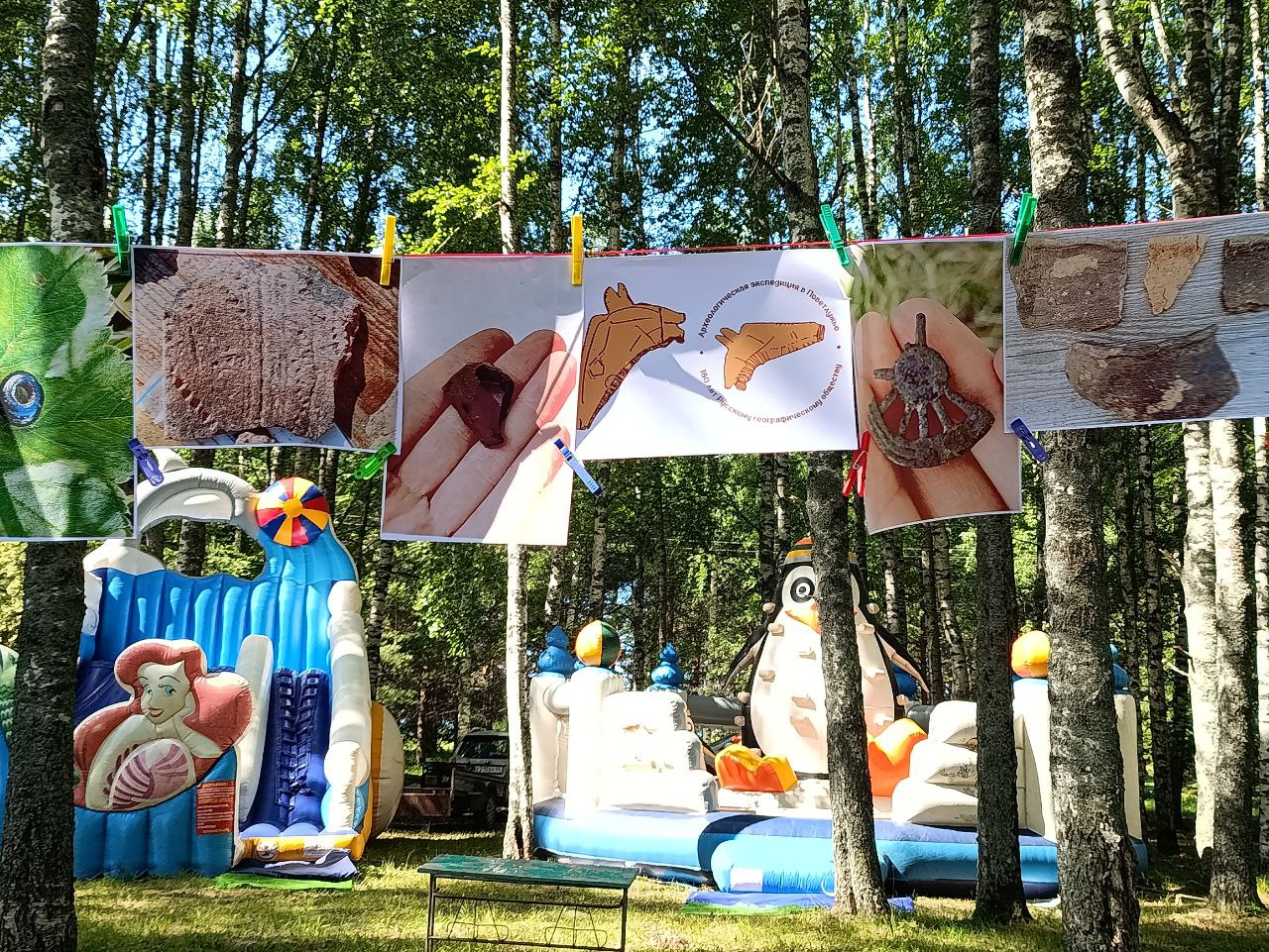 Десятки костромичей попали в доисторическое городище