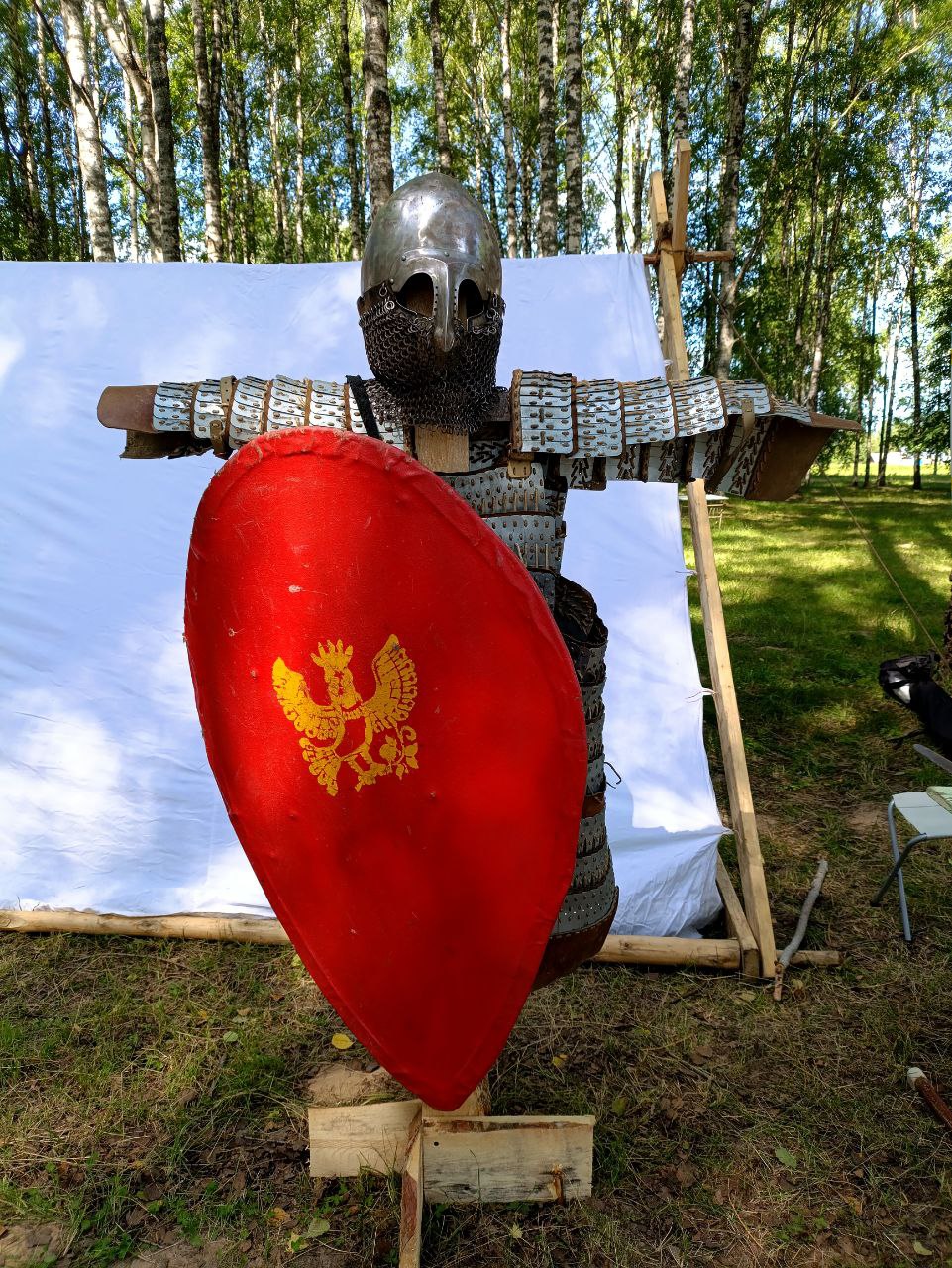 Десятки костромичей попали в доисторическое городище