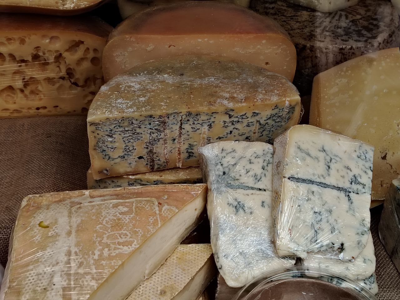 Сыры на любой вкус и цвет выкатили на фестиваль сыра в Костроме