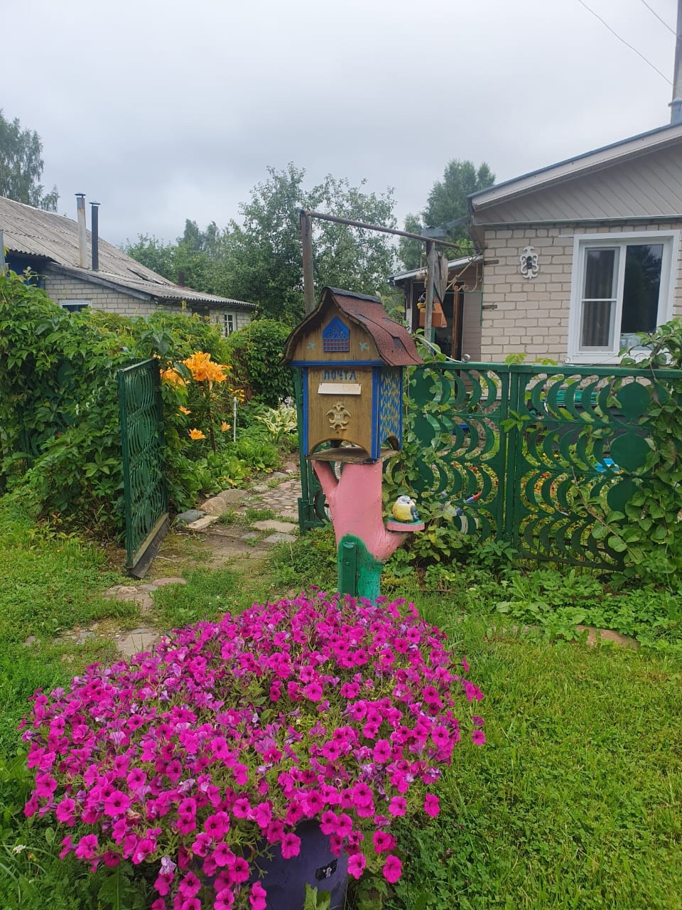 В семье костромичей живет настоящая царевна-лягушка