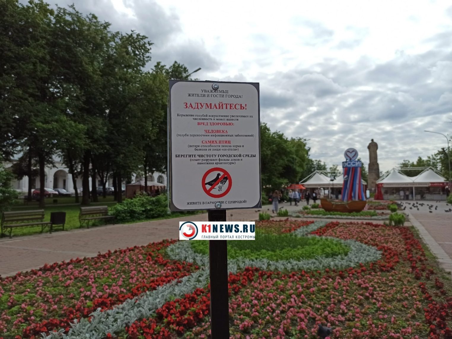 От кормления летучих крыс костромичам лучше отказаться