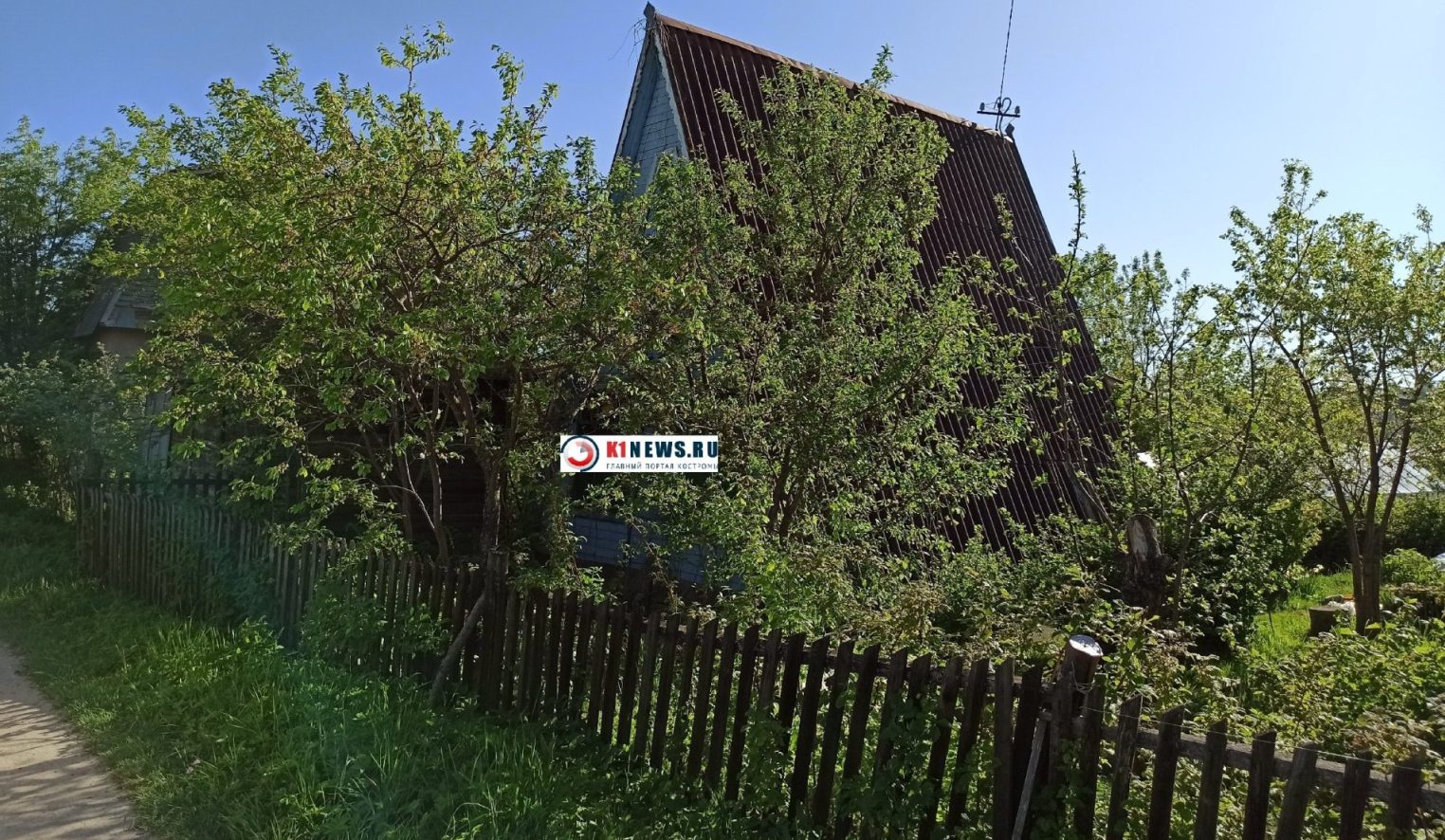 Дачный беспредел в Костроме вышел на новый уровень