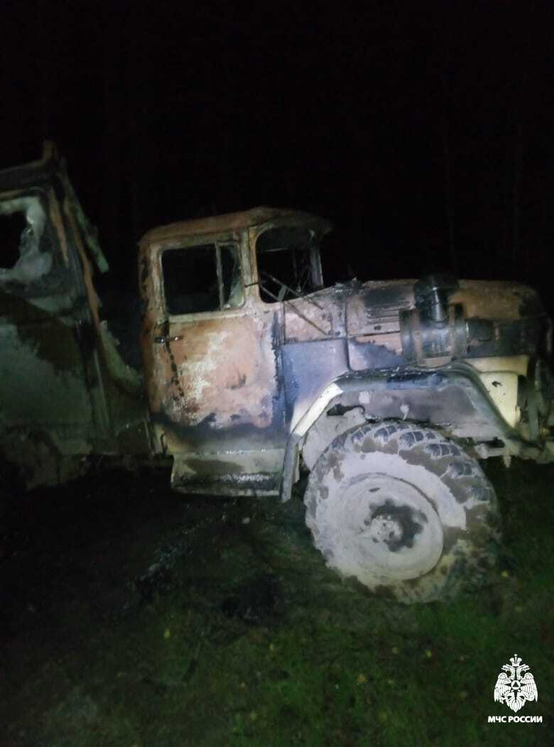Огонь в Костромской области погубил технику и кроликов