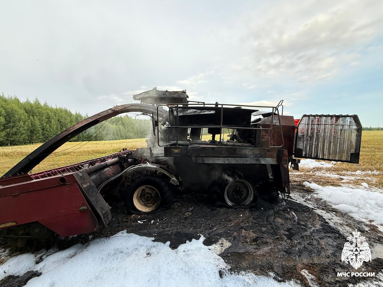 Огонь в Костромской области погубил технику и кроликов