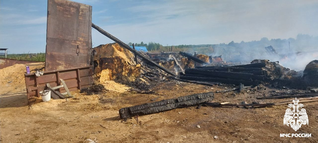 Огонь в Костромской области погубил технику и кроликов
