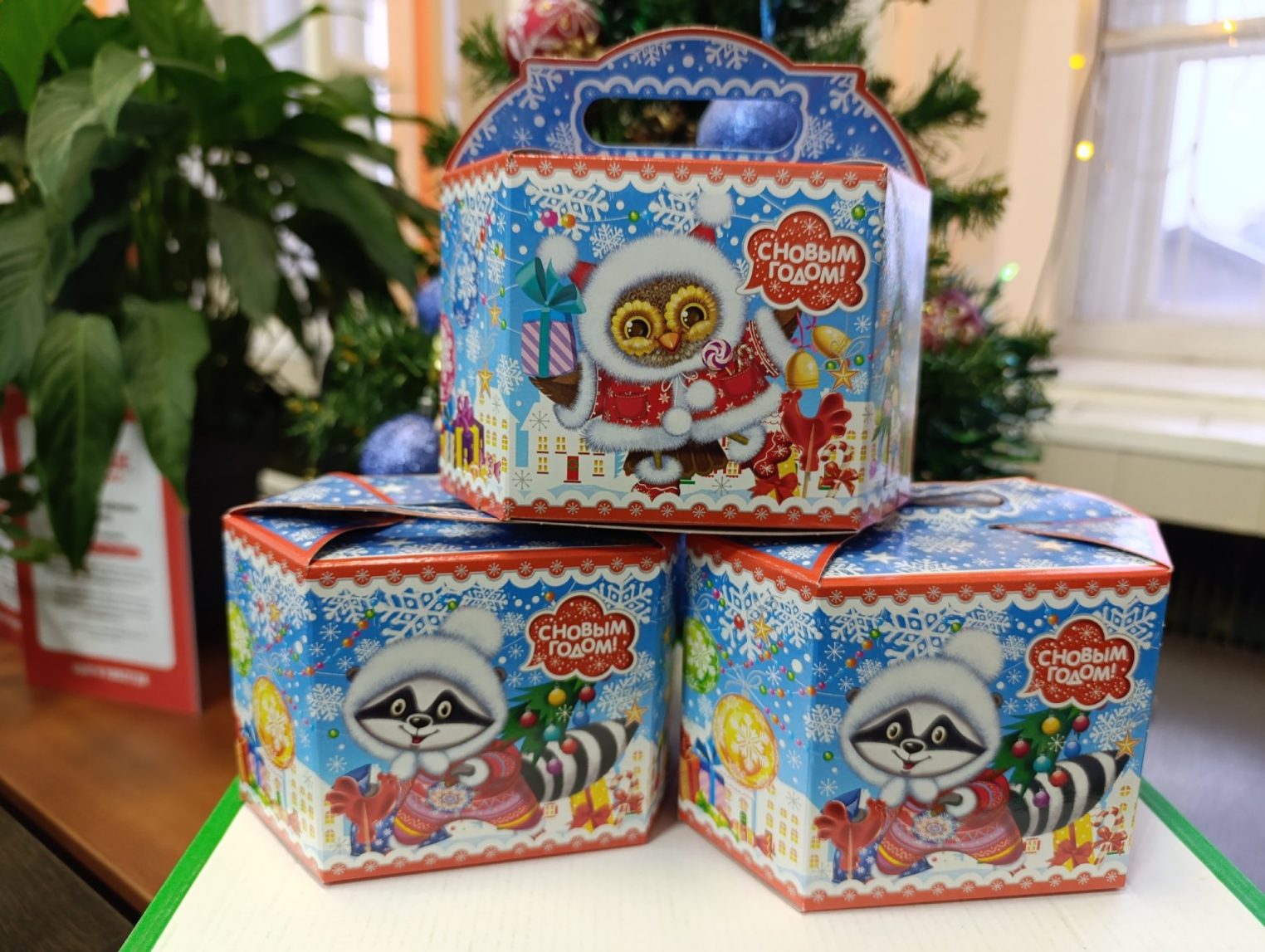 Зефир и пастилу из Костромы тоннами закупают Китай и Израиль