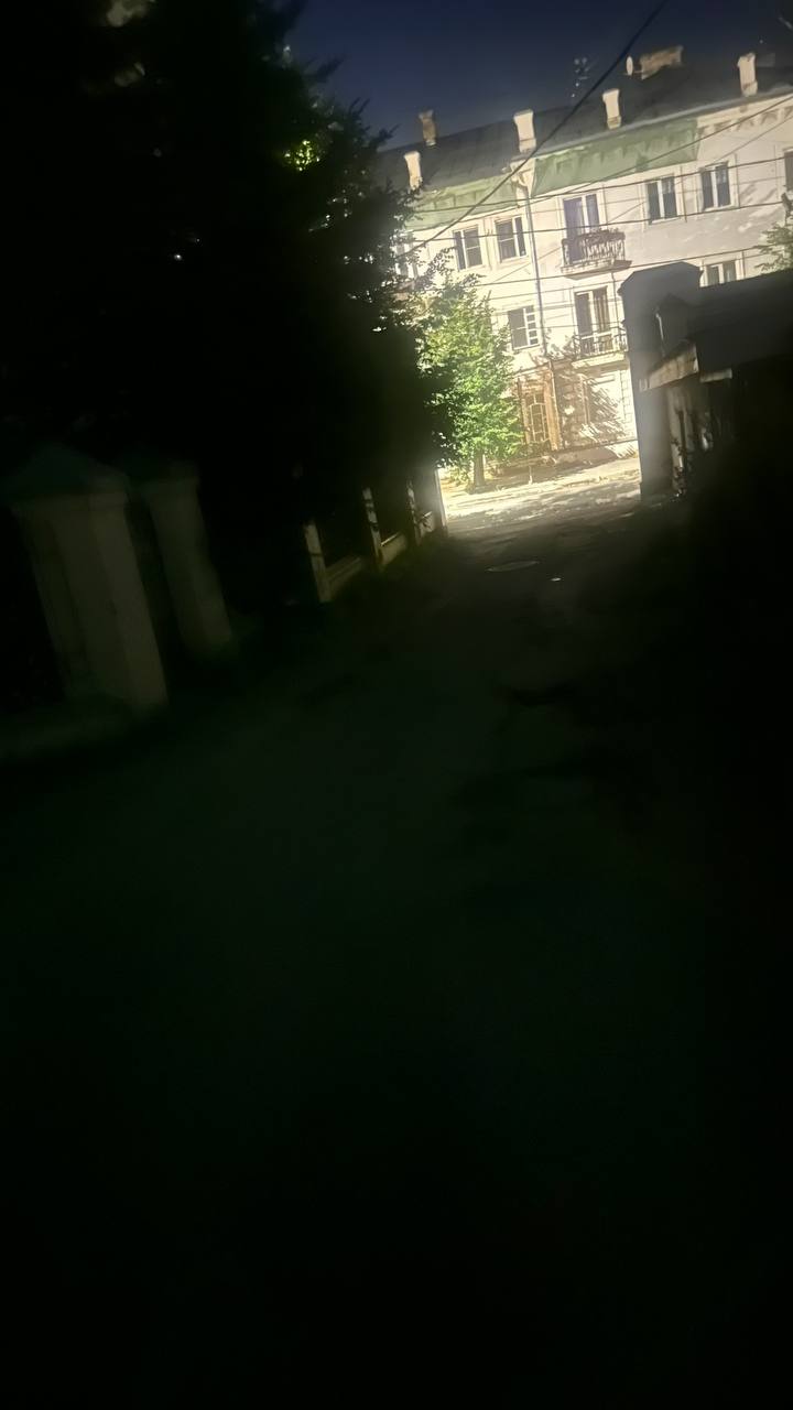 Костромичам рассказали, когда их двор перестанут использовать как туалет