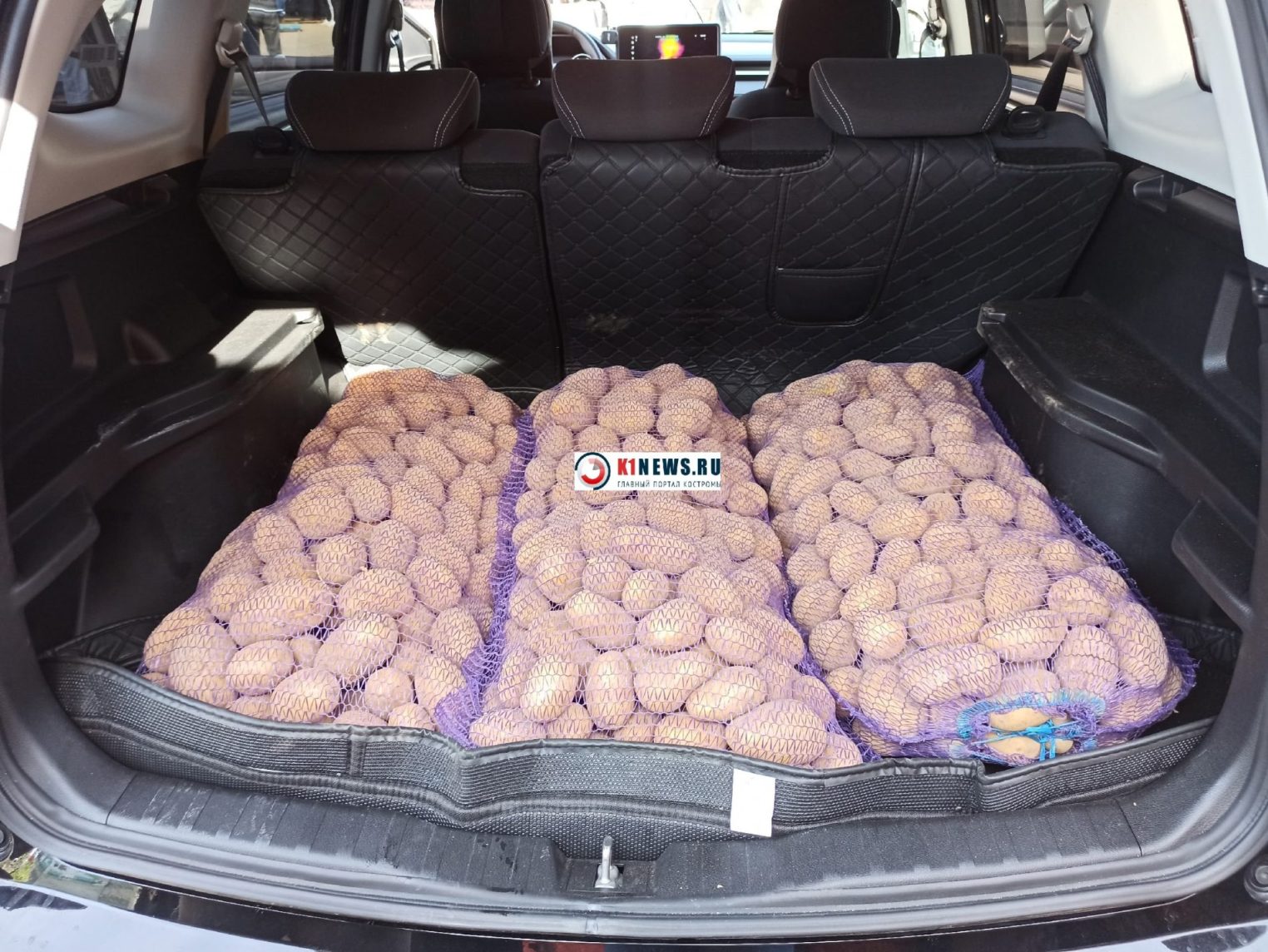 Сколько стоит картошка на сезонных ярмарках в Костроме