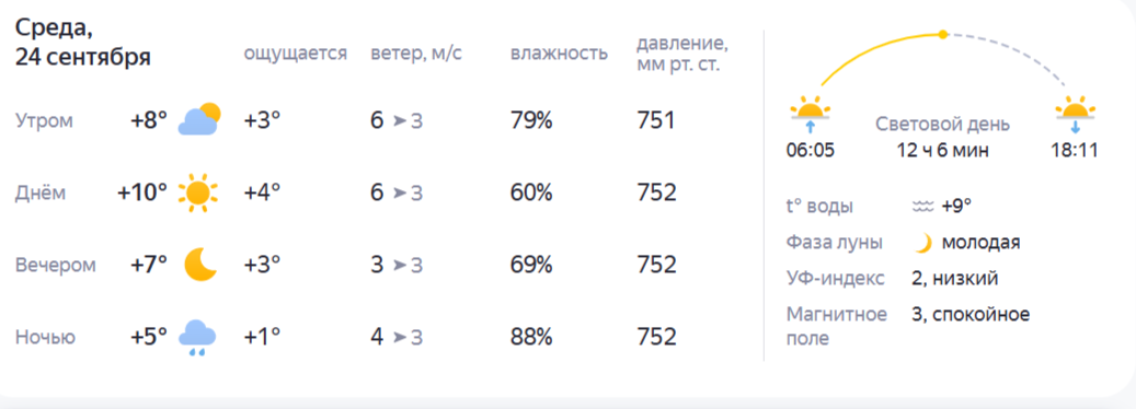 Бабье лето все: настоящая осень с дождями добралась до Костромы