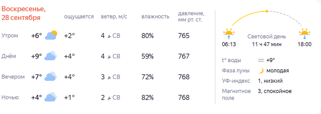 Давай до свиданья: бабье лето окончательно покинуло Кострому