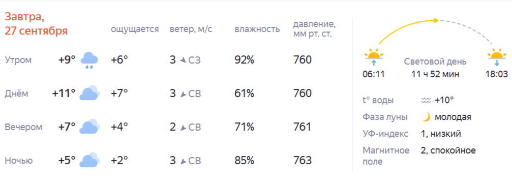 Давай до свиданья: бабье лето окончательно покинуло Кострому