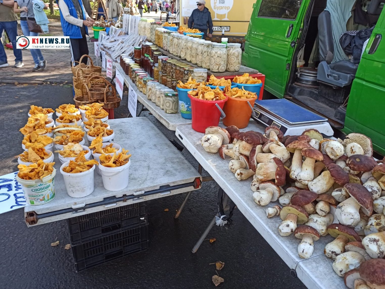 У лесного мяса на рынке Костромы конские цены