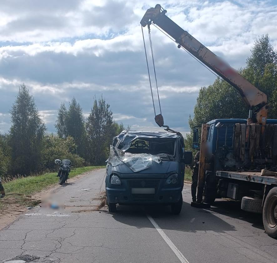 Перевертыш чуть не погубил пьяного костромича