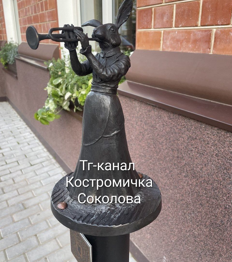 Неизвестная зайчиха-музыкант поселилась в центре Костромы