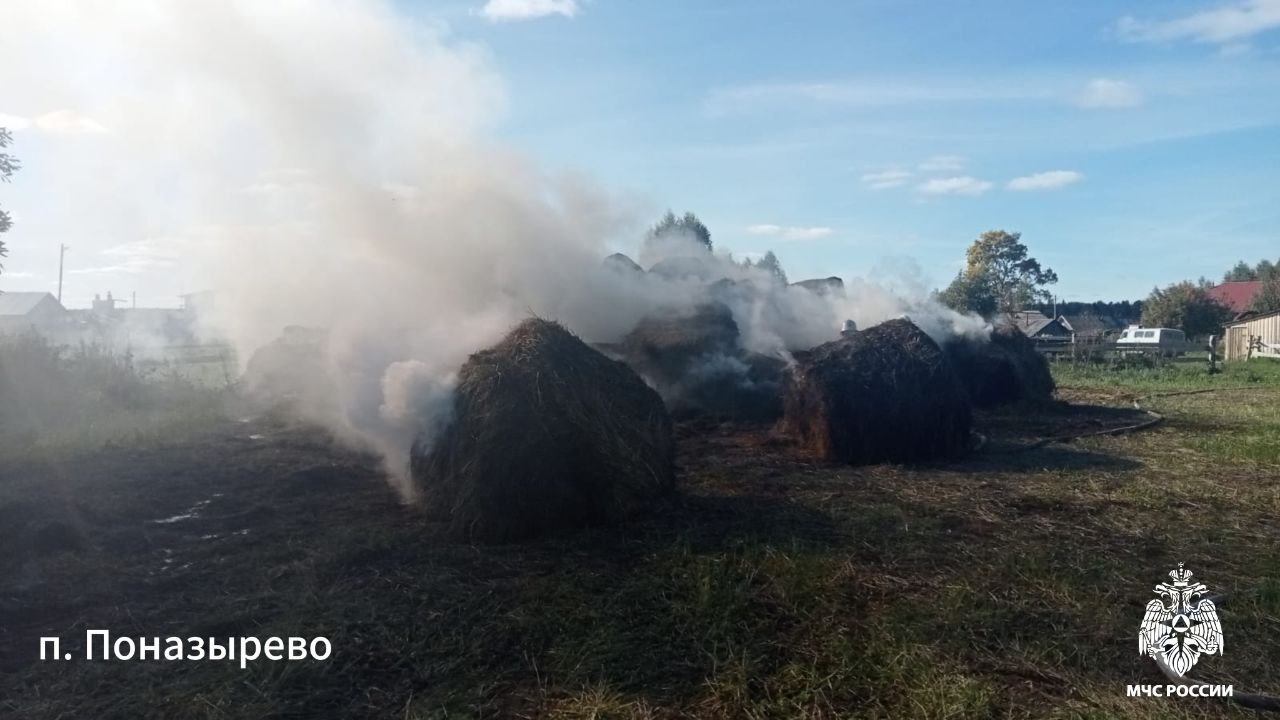 Коротыш заставит костромичей делать ремонт в квартире