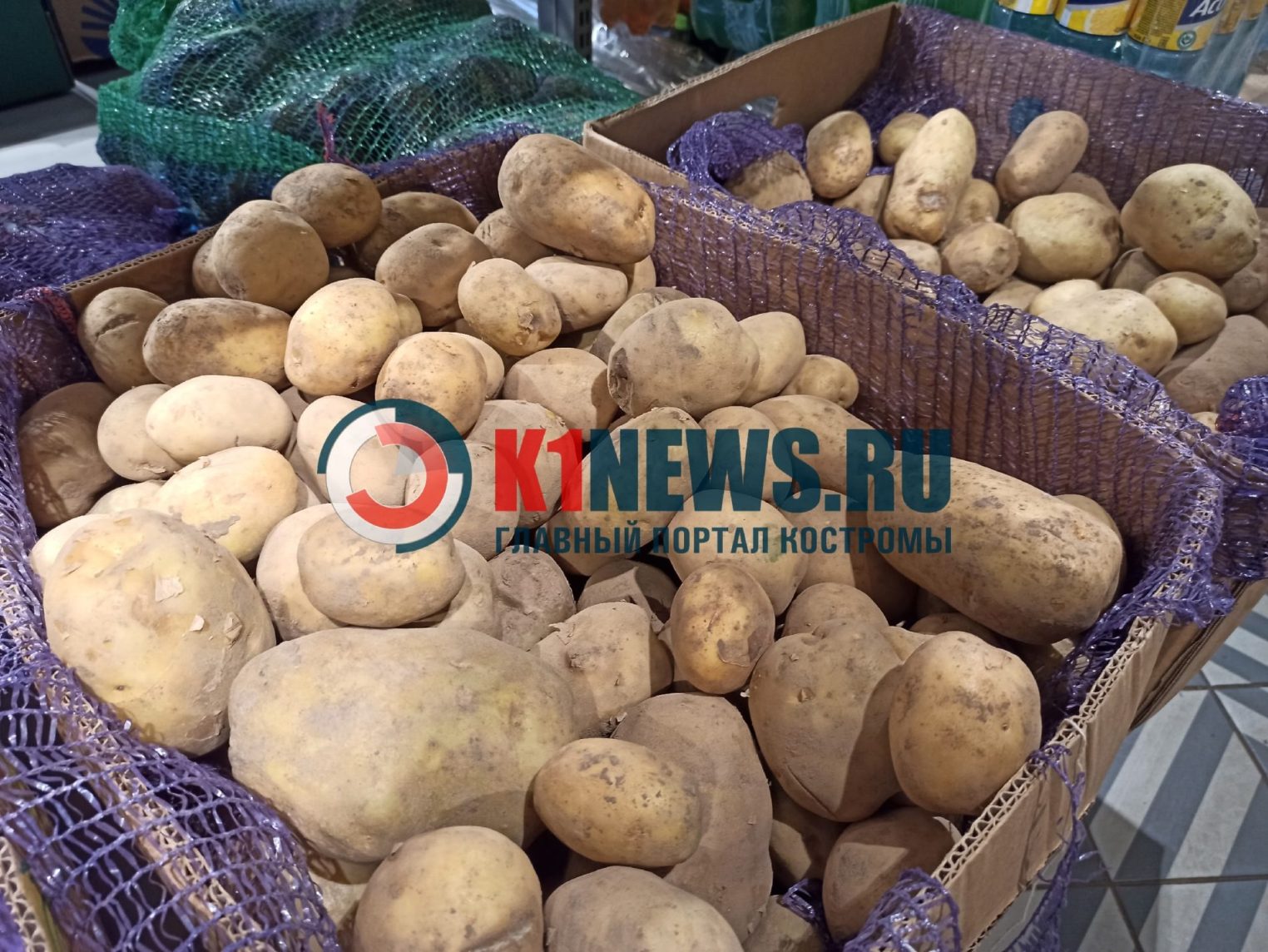 Нашли дешевле: сколько стоит картофель в магазинах Костромы