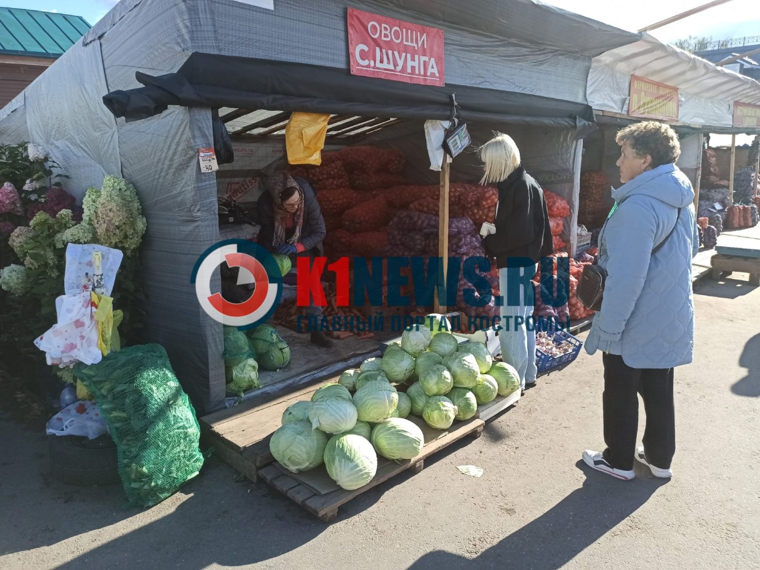 Для тех, кто квасит: сколько стоит капуста в Костроме