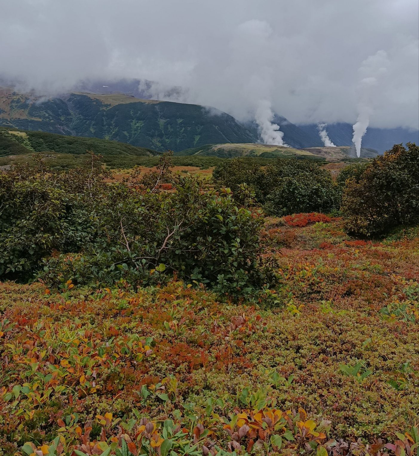 День рождения на краю России: костромичка съездила на Камчатку