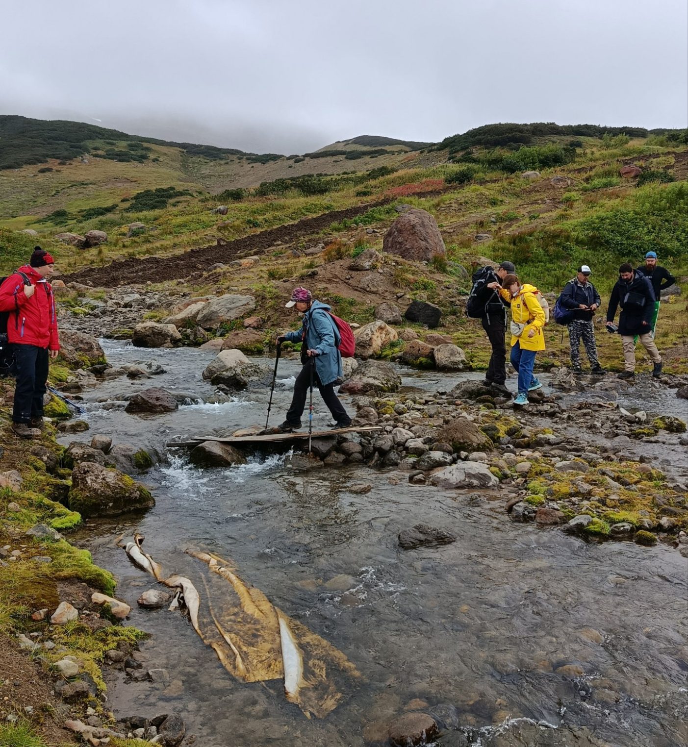 День рождения на краю России: костромичка съездила на Камчатку