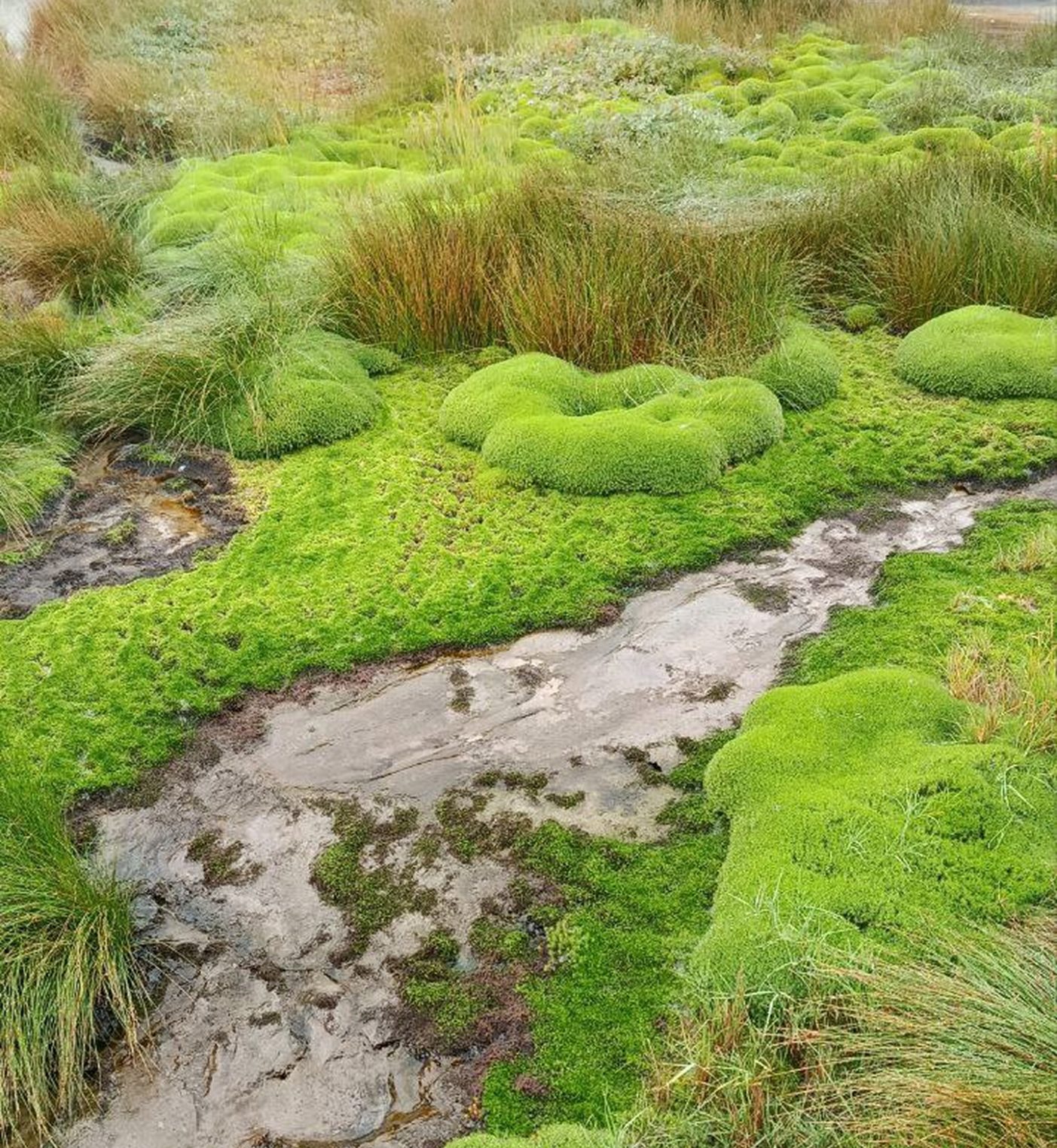 День рождения на краю России: костромичка съездила на Камчатку