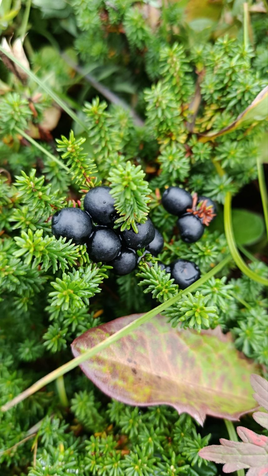 День рождения на краю России: костромичка съездила на Камчатку